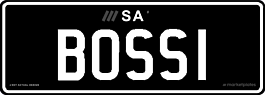 BOSS1